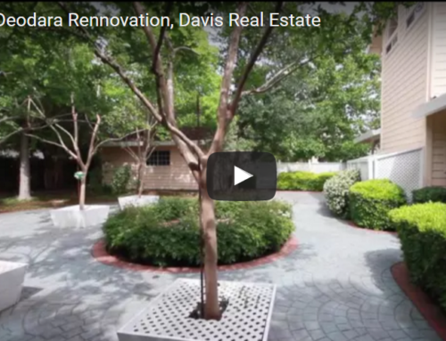 Davis Real Estate Renovation – 1217 Deodara